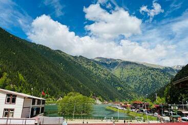 Aparthotel Desera Apart