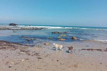 Пансион Alojamiento Monte Y Mar