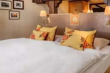 בית מלון כפרי Die Sonne Frankenberg