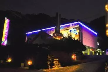 Hotel Joy