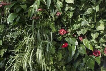 Aparthotel Domitys Les Cigales Du Lubéron