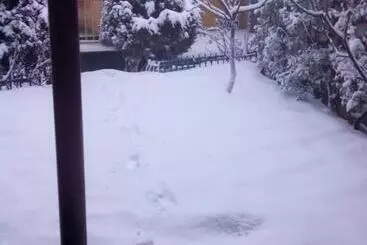 ホテル Snow King Retreat  Himalayan View , Revolving Restaurant , Pinewood Cottages , Huts , Villas , Rooms