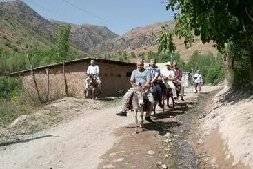 ペンション Spring Family Guest House