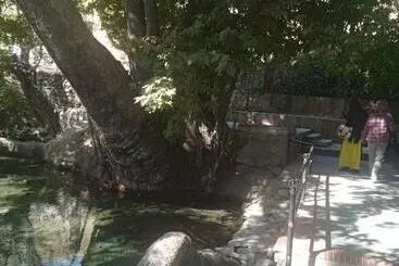 Pensjonat Spring Family Guest House