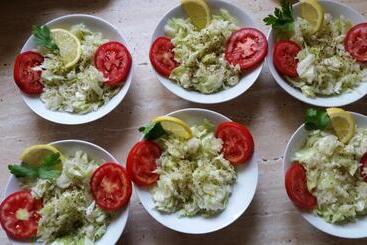 Pensiunea Steaua Nordului