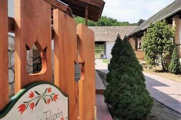 펜션 Pipacs és Tulipán Vendégház