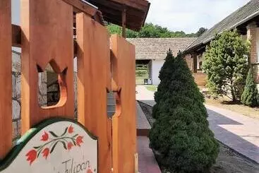 Pension Pipacs és Tulipán Vendégház
