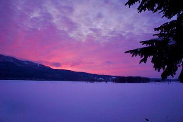 بنسيون Blueberryhouse音威子府村