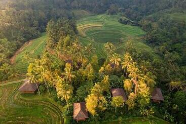 منتجع Clove Tree Hill