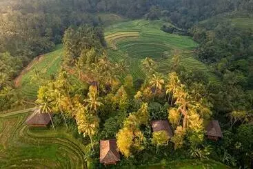 Resort Clove Tree Hill