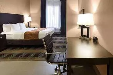 Hotel Comfort Suites Houston West At Clay Road