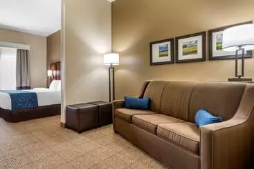 Отель Comfort Suites Niceville Near Eglin Air Force Base