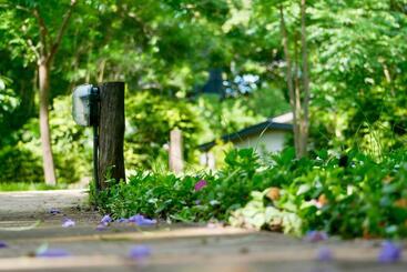 בית מלון כפרי Arusha Villa Karamu Coffee Estate