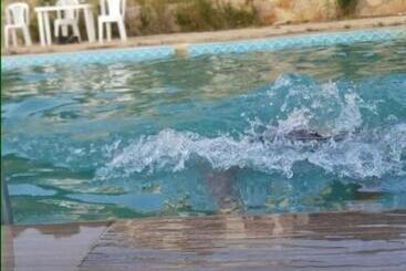 Pension (Hôtel basse catégorie) La Rose Blanche