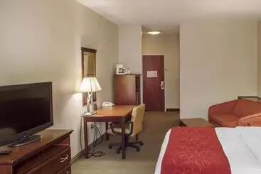 Hotelli Comfort Suites Daytonwright Patterson