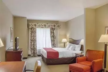 Hotel Comfort Suites Daytonwright Patterson