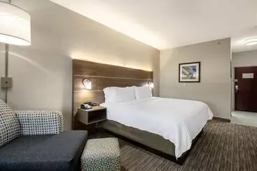 Hotel Holiday Inn Express & Suites   Olathe South, An Ihg