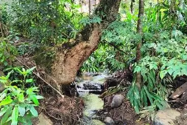 Encino House Hotel Boutique