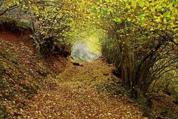 アパートメント La Cuculla