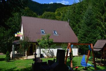 Pensionat Casa Aris Lepsa Vrancea