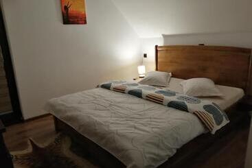 پانسیون Casa De Vacanta Ioana