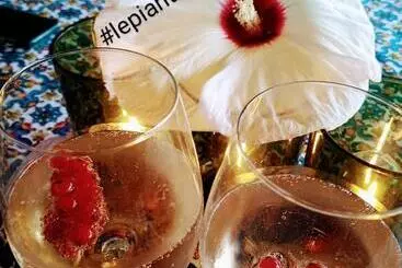 Bed and Breakfast Le Piante Di Casa Samar