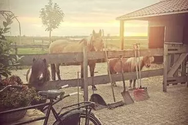 B&b Op De Terp