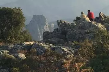 تختخواب و صبحانه Sherdana S