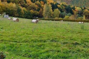 Pensiunea Natura Sadu