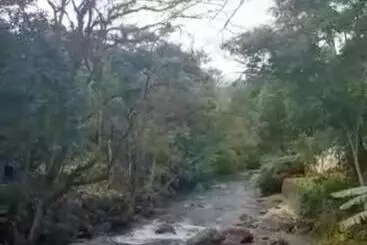 ペンション Chalés Mimar Lumiar Suítes Individuais