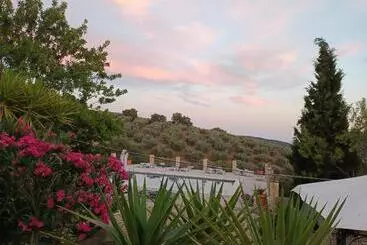 Hacienda La Buena Vida B&b En Appartementen