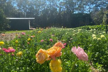 호텔 Flower Farm Tamborine Mountain