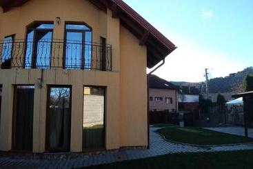 Pensiunea Vila Mocanilor