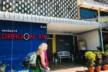 هاستل Dragon Xiv