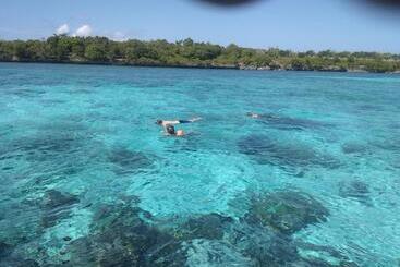 Bed and Breakfast Ocean Holiday