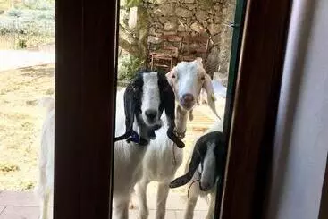 ホテル Agriturismo Lavalleggia