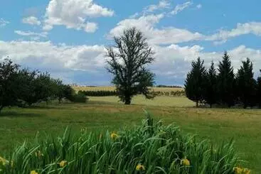 ホテル Eling Forest Winery