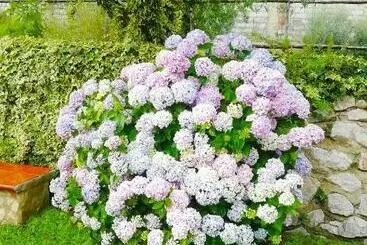 B&b Maison Villa Vittorio