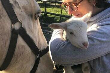 בית מלון כפרי Quinta Do Ragal