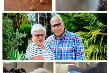 Bed and Breakfast Casa Jetizo