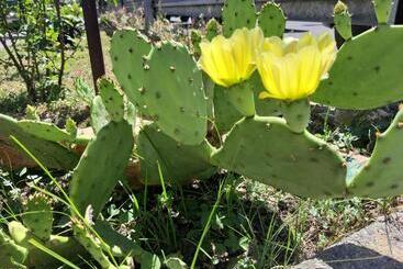 بنسيون Mediterranean Concept House