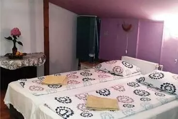 Pansiyon Hostel Pascalis Alesd