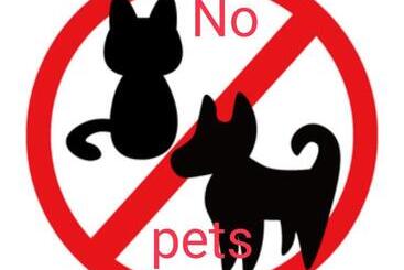 هتل Ban Tawansongfa