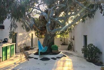 Bed and Breakfast Patio Ii Studio At Finca