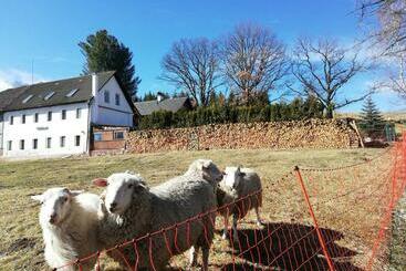 Пансион Pohoda U Lva