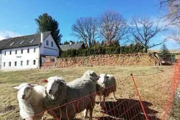 Majatalo Pohoda U Lva