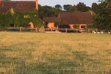 Отель The Burrow