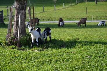 Otel Bauernhof Kaspergut