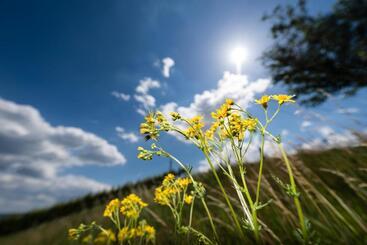 هتل Weingut Wohlfühlzimmer Adam Lieleg