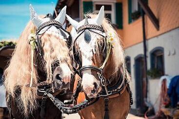 Отель Bio Bauernhof Heidegger